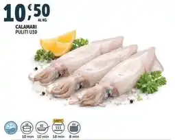 Deco Superfreddo Calamari puliti U10 offerta