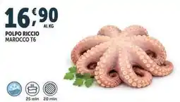 Deco Superfreddo Polpo riccio marocco t6 offerta