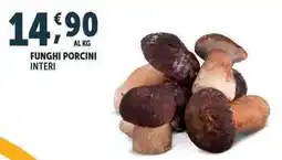 Deco Superfreddo Funghi porcini interi offerta