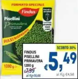 DEM Findus pisellini primavera offerta