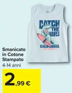 Carrefour Smanicato in Cotone Stampato offerta