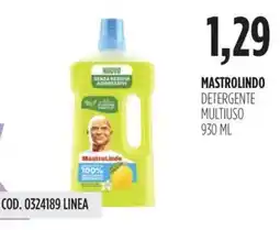 Carico Cash & Carry Mastrolindo detergente multiuso offerta