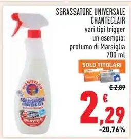 Conad Sgrassatore Universale Chanteclair offerta