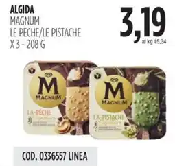 Carico Cash & Carry Algida magnum le peche/le pistache offerta