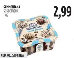 Carico Cash & Carry Sammontana sorbettiera offerta