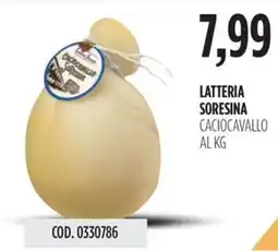 Carico Cash & Carry Latteria soresina caciocavallo offerta