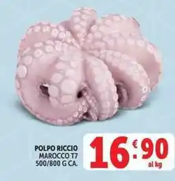 Deco Supermercati Polpo riccio marocco T7 offerta
