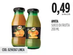 Carico Cash & Carry Amita succo di frutta offerta