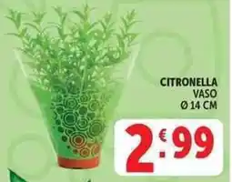 Deco Supermercati Citronella offerta