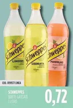 Carico Cash & Carry Schweppes bibite gassate offerta