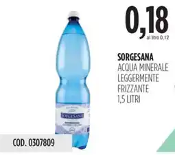 Carico Cash & Carry Sorgesana acqua minerale leggermente frizzante offerta