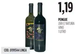 Carico Cash & Carry Pengue uva e natura vino offerta