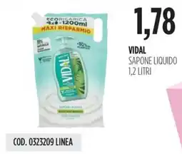 Carico Cash & Carry Vidal sapone liquido offerta