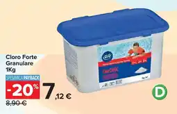 Carrefour Cloro Forte Granulare offerta