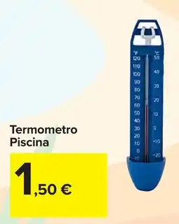 Carrefour Termometro Piscina offerta