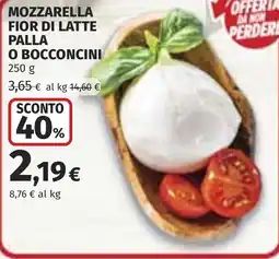Coop Mozzarella fior di latte palla o bocconcini offerta