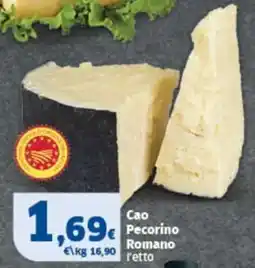 Sigma Cao Pecorino Romano retto offerta