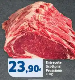 Sigma Entrecote Scottona Prussiana offerta