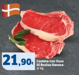 Sigma Costata Con Osso Di Bovino Danese offerta