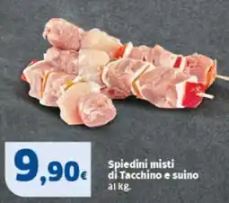 Sigma Spiedini misti di Tacchino e suino offerta