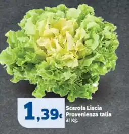 Sigma Scarola Liscia Provenienza talia offerta