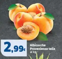 Sigma Albicocche Provenienza talia offerta