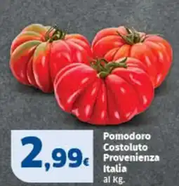 Sigma Pomodoro Costoluto Provenienza Italia offerta