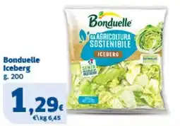 Sigma Bonduelle Iceberg offerta