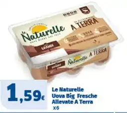 Sigma Le Naturelle Uova Big Fresche Allevate A Terra x6 offerta