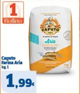 Sigma Caputo Farina Aria offerta