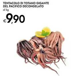 Bennet Tentacolo di totano gigante del pacifico decongelato offerta