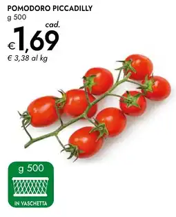 Bennet Pomodoro piccadilly offerta