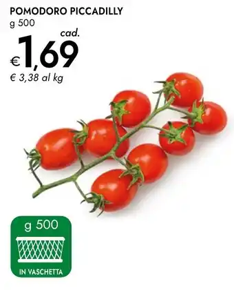 Bennet Pomodoro piccadilly offerta