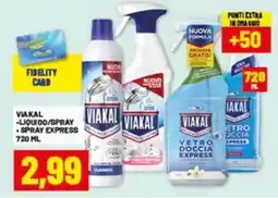 Risparmio Casa Viakal liquido/spray, spray express offerta