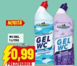 Risparmio Casa Wc gel offerta