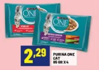 Risparmio Casa Purina one cat offerta