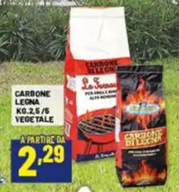Risparmio Casa Carbone legna vegetale offerta