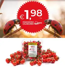 Coop Pomodoro ciliegino coop origine offerta