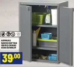 Risparmio Casa Armadio basso rattan grigio chiaro 65x45xh88cm offerta