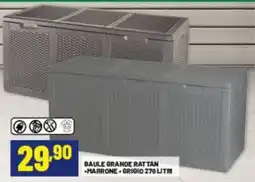 Risparmio Casa Baule grande rattan -marrone grigio offerta