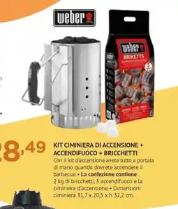 Progress Weber kit ciminiera di accensione + accendifuoco + bricchetti offerta