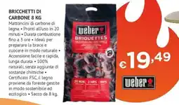 Progress Weber bricchetti di carbone offerta
