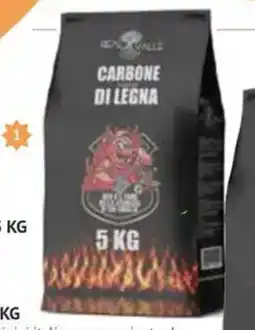 Progress Carbone di legna offerta