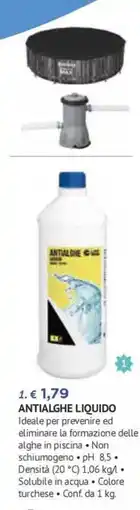 Progress Antialghe liquido offerta