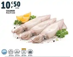 Deco Supermercati Calamari puliti u10 offerta