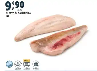 Filetto di gallinella iqf