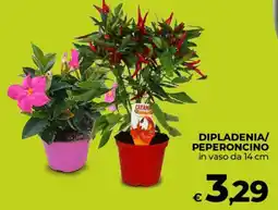 Coop Dipladenia/ peperoncin offerta