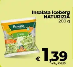 Coop Insalata Iceberg NATURIZIA offerta