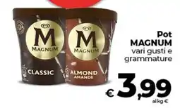 Coop Pot MAGNUM offerta