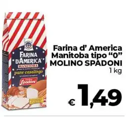 Coop Farina d' America Manitoba tipo "0" MOLINO SPADONI offerta
